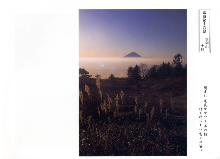 ӂ]19